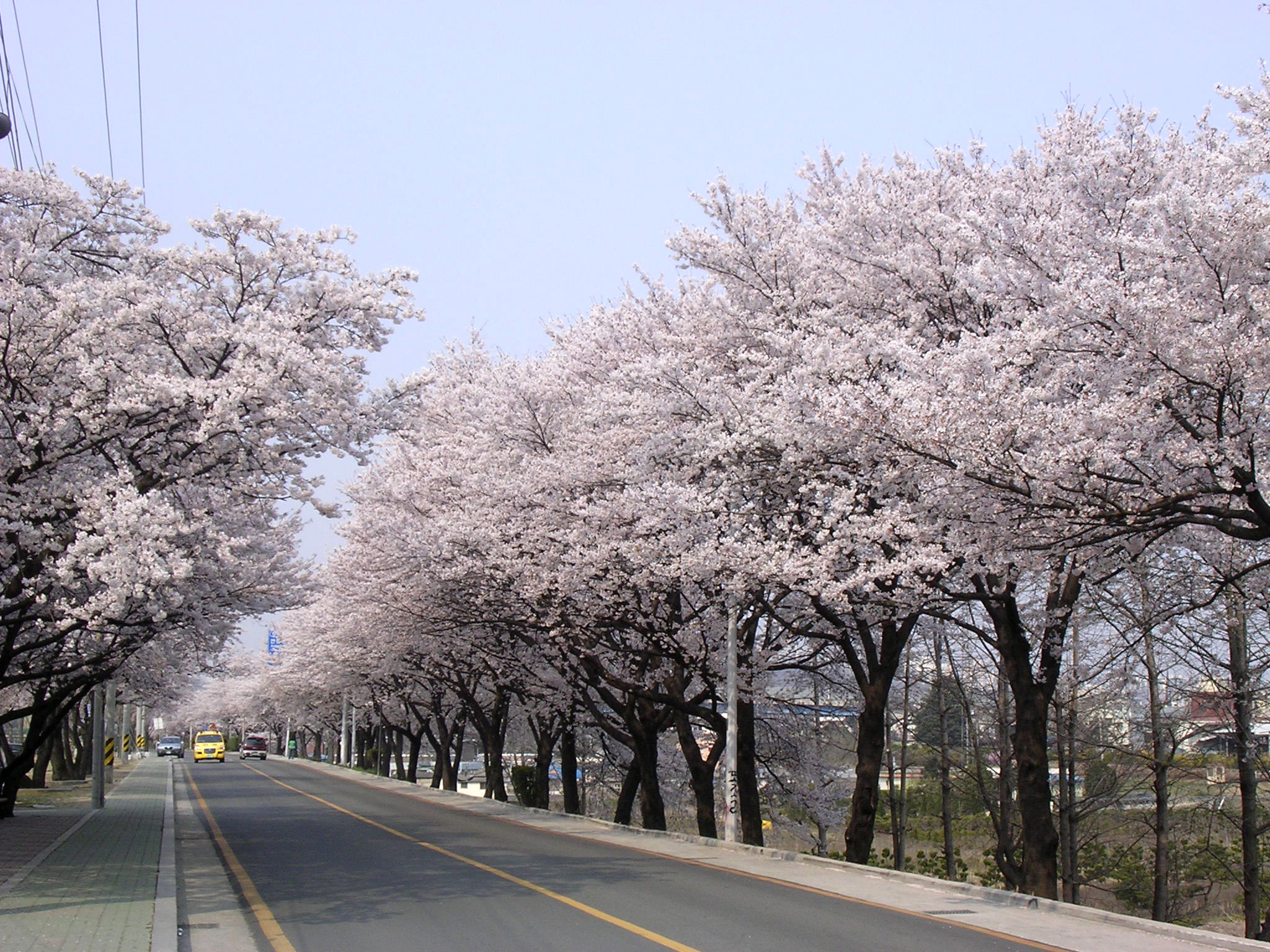 늦게 오시면... 첨부사진